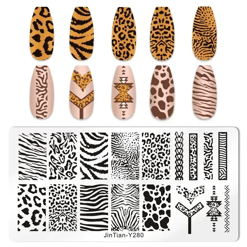 Tiger Zebra Leopard พิมพ์แผ่นป - Nail Art Zebra บทวิจารณ์และราคา
