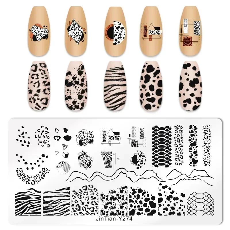 Tiger Zebra Leopard พิมพ์แผ่นป - Nail Art Zebra บทวิจารณ์และราคา