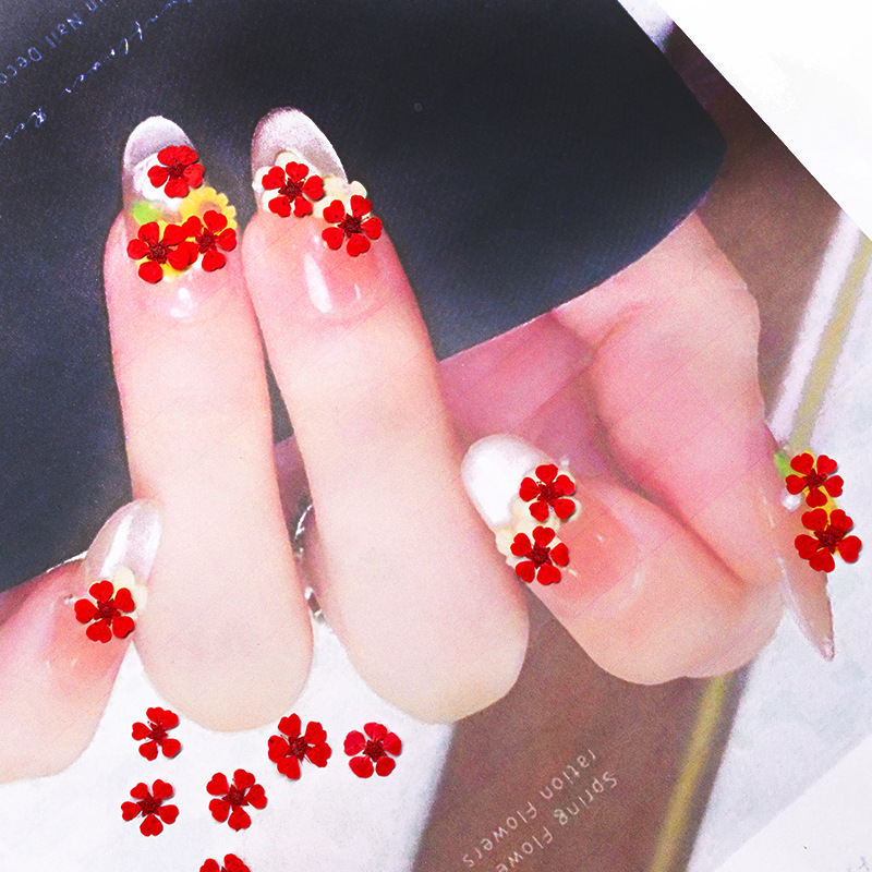 ดอกไม้แห้งอัดเม็ดขนาดเล็ก 1.5  - Nail Art Natural บทวิจารณ์และราคา
