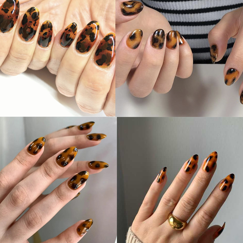 1ม้วน100ซม.* 4ซม.เต่า Shell Am - Nail Art Zebra บทวิจารณ์และราคา