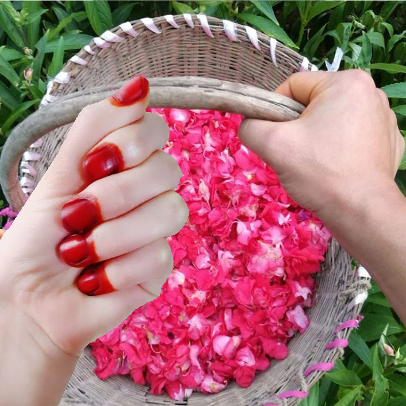 ผงย้อมเล็บเฮนน่า 40 กรัม สำหรั - Nail Art Natural บทวิจารณ์และราคา